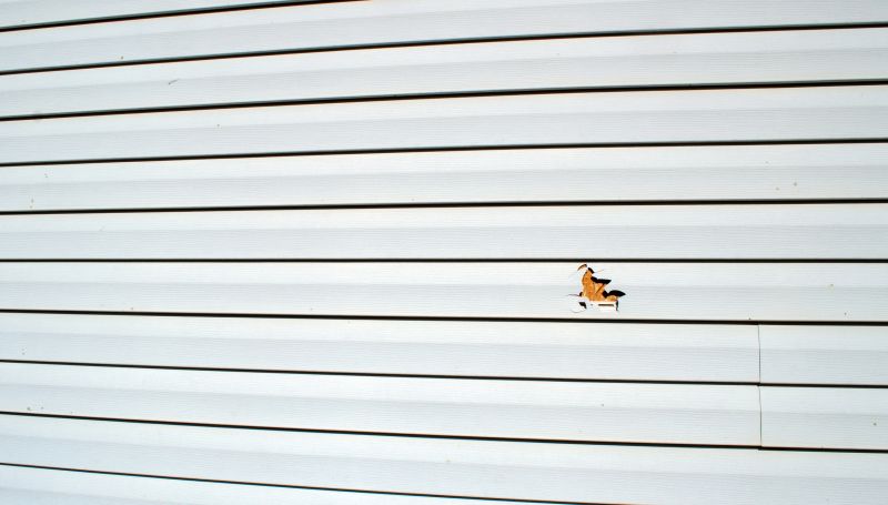 Seam Sealing by Professionals