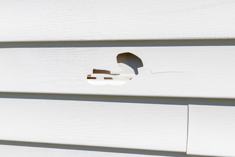 Crack Fixing in Vinyl Siding